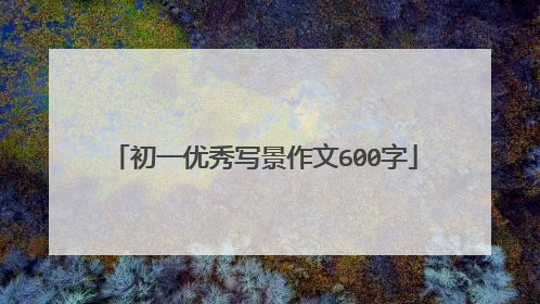 初一优秀写景作文600字