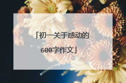 初一关于感动的600字作文