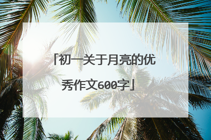 初一关于月亮的优秀作文600字