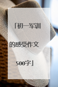 初一军训的感受作文500字