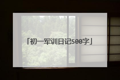 初一军训日记500字