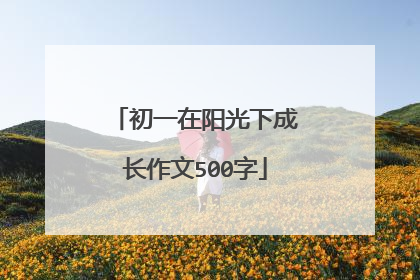 初一在阳光下成长作文500字