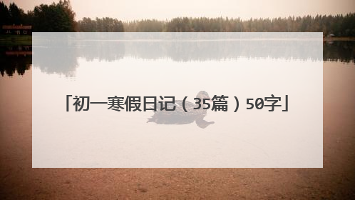 初一寒假日记(35篇)50字