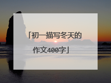 初一描写冬天的作文400字