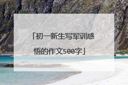 初一新生写军训感悟的作文500字