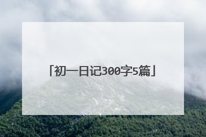 初一日记300字5篇