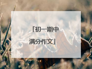 初一期中满分作文