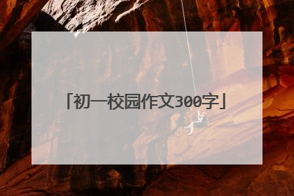 初一校园作文300字