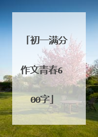 初一满分作文青春600字