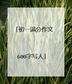 初一满分作文600字写人