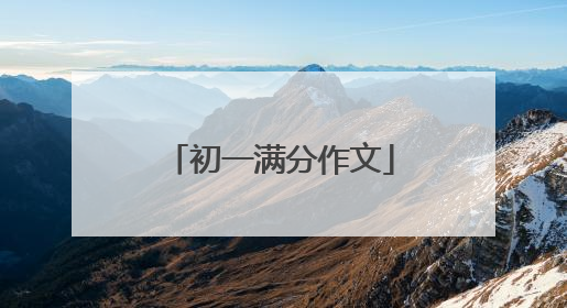 初一满分作文
