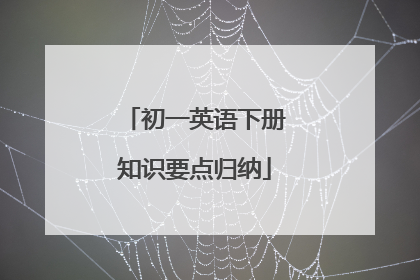 初一英语下册知识要点归纳