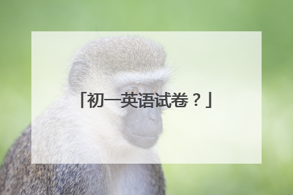 初一英语试卷?