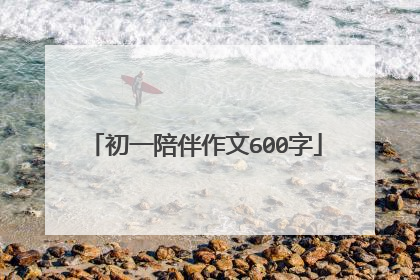 初一陪伴作文600字