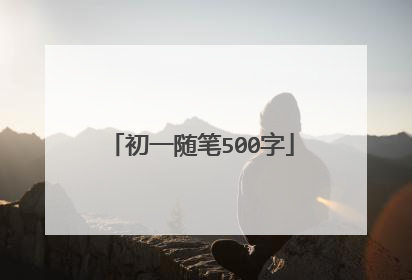 初一随笔500字