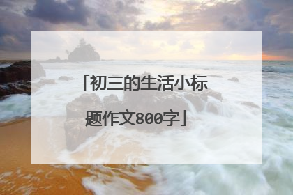 初三的生活小标题作文800字