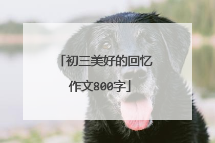 初三美好的回忆作文800字