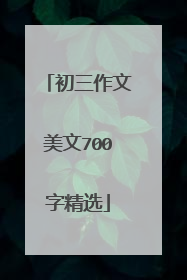 初三作文美文700字精选