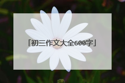 初三作文大全600字