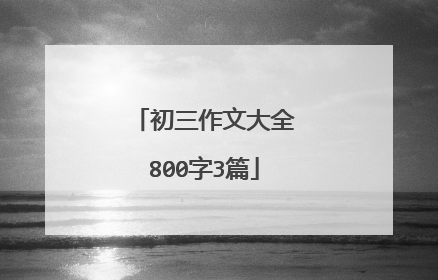 初三作文大全800字3篇