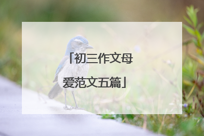 初三作文母爱范文五篇