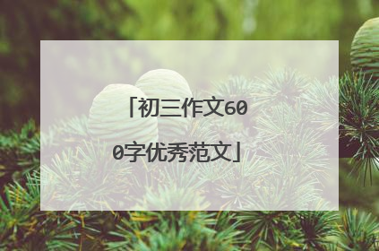 初三作文600字优秀范文