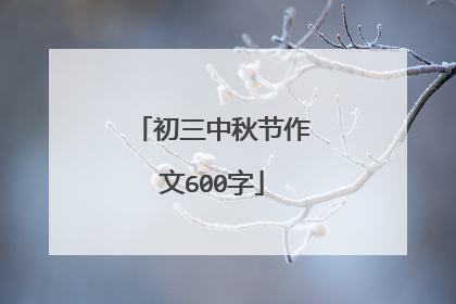 初三中秋节作文600字