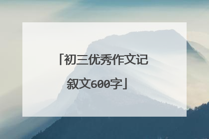 初三优秀作文记叙文600字
