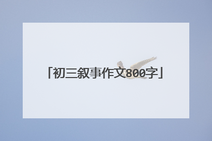 初三叙事作文800字