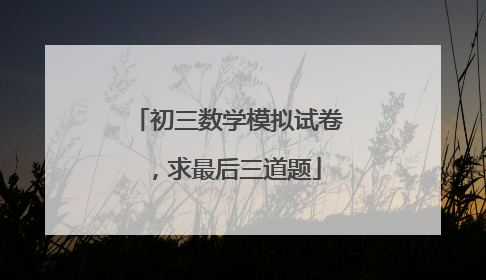 初三数学模拟试卷,求最后三道题