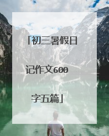初三暑假日记作文600字五篇