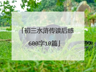 初三水浒传读后感600字10篇