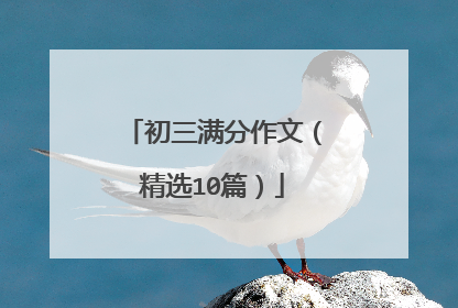 初三满分作文(精选10篇)