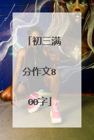初三满分作文800字