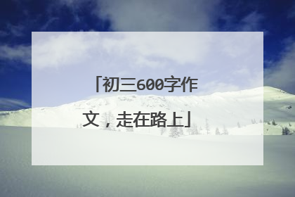 初三600字作文，走在路上