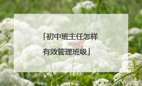 初中班主任怎样有效管理班级