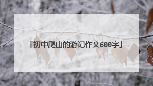 初中爬山的游记作文600字