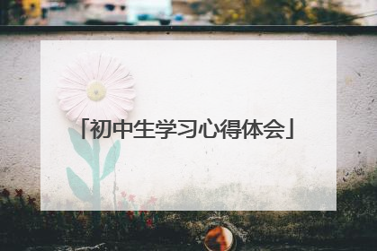 初中生学习心得体会