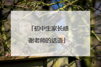 初中生家长感谢老师的话语
