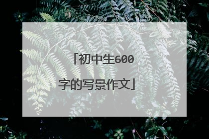 初中生600字的写景作文
