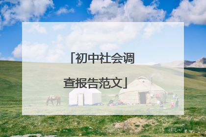 初中社会调查报告范文