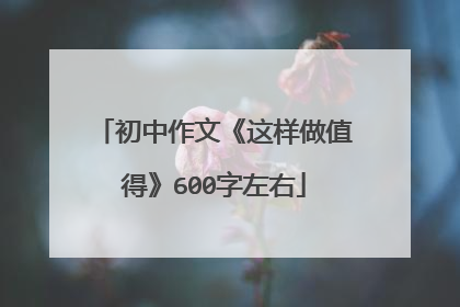 初中作文《这样做值得》600字左右