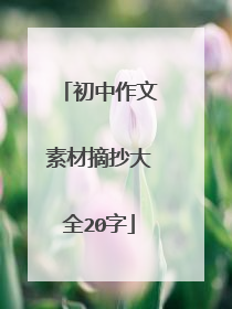 初中作文素材摘抄大全20字