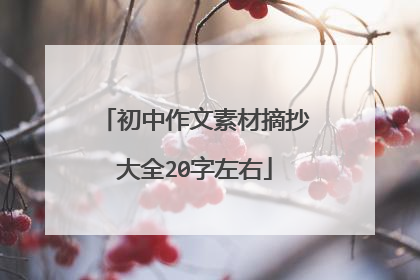 初中作文素材摘抄大全20字左右
