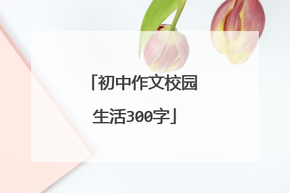 初中作文校园生活300字