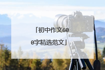 初中作文600字精选范文