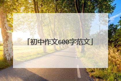 初中作文600字范文