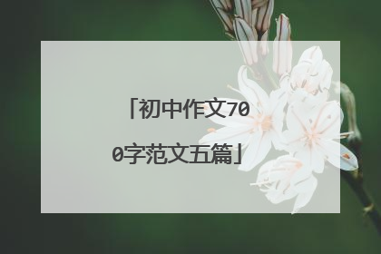 初中作文700字范文五篇