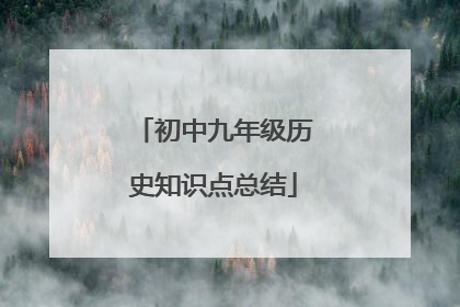 初中九年级历史知识点总结