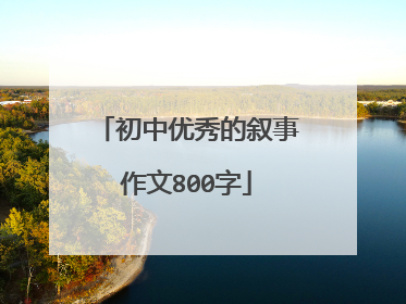 初中优秀的叙事作文800字